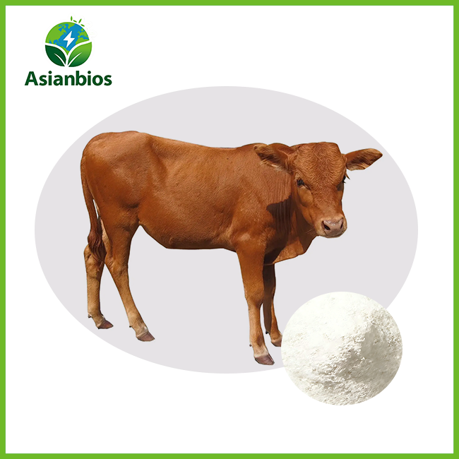 Bovine Bone Collagen Peptide